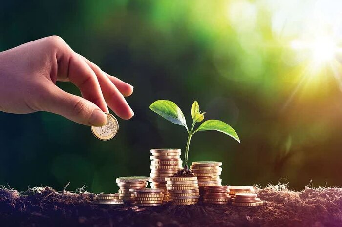 تامین مالی